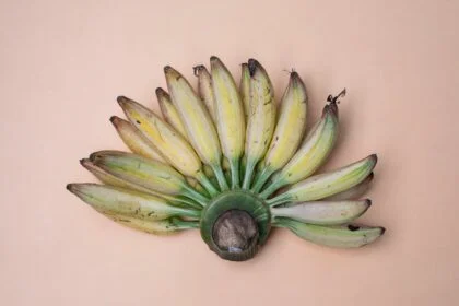 Top view composition of recently collected harvest of ripe fresh bananas placed on pink background